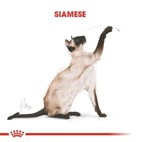 Royal Canin Siamese Kuru Kedi Maması 2 Kg - Thumbnail