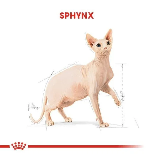 Royal Canin Sphynx Kuru Kedi Maması 2 Kg - Thumbnail