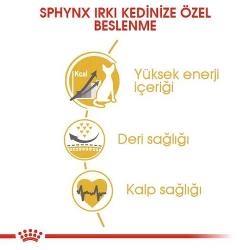 Royal Canin Sphynx Kuru Kedi Maması 2 Kg - Thumbnail