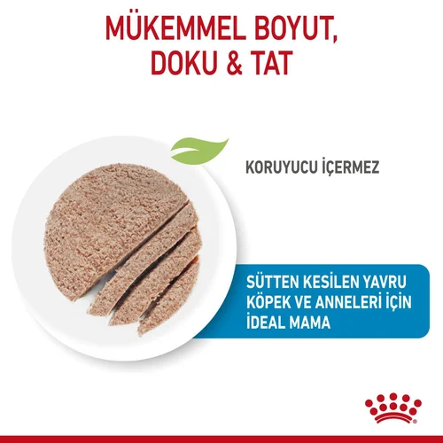 Royal Canin Starter Mousse Mother&BabyDog Köpek Konservesi 195 Gr - Thumbnail