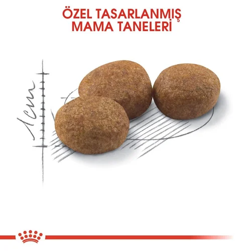 Royal Canin Sterilised 37 Kısırlaştırılmış Kedi Maması 15 Kg - Thumbnail