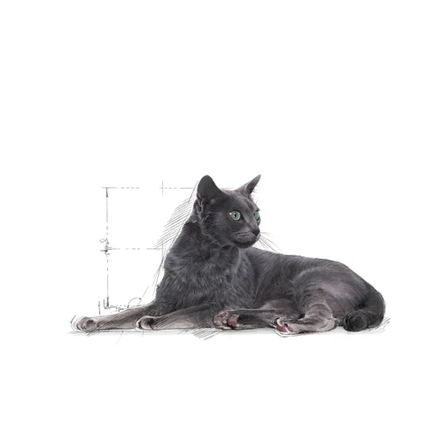 Royal Canin Sterilised +7 Yaş Üzeri Kısırlaştırılmış Kedi Maması 1,5Kg - Thumbnail