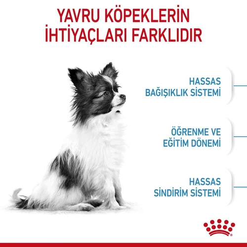 Royal Canin Xsmall Puppy Kuru Köpek Maması 500 Gr - Thumbnail