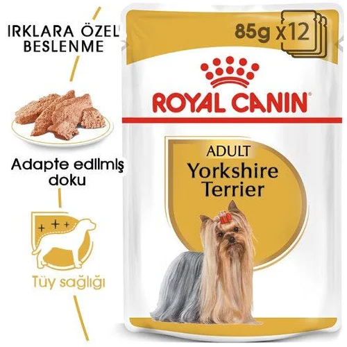 Royal Canin Yorkshire Terrier Adult Pouch Köpek Yaş Mama 85 Gr - Thumbnail