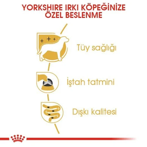 Royal Canin Yorkshire Terrier Adult Pouch Köpek Yaş Mama 12*85 Gr - Thumbnail