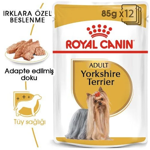 Royal Canin Yorkshire Terrier Adult Pouch Köpek Yaş Mama 12*85 Gr - Thumbnail